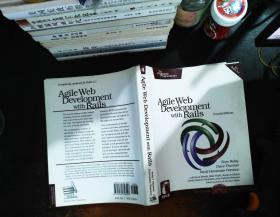 Agile Web Development with Rails (Fourth Edition)【书侧轻微污渍 书脊轻微磨损】