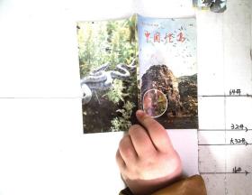 古文观止 下册