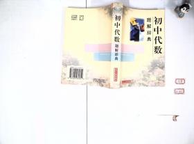初中代数题解辞典