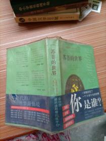 苏菲的世界