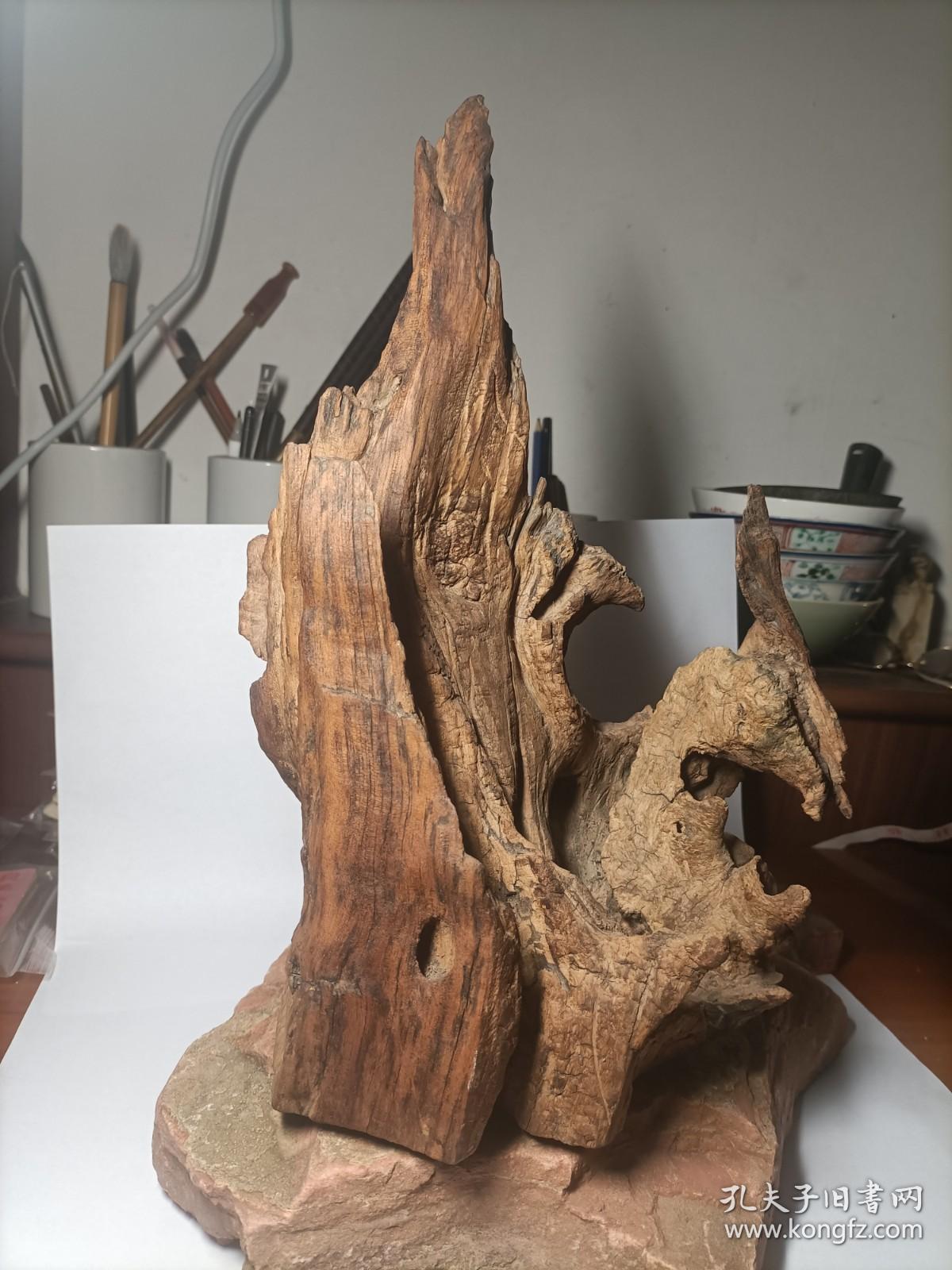 保真曲阜300年以上树龄 楷木木桩山子