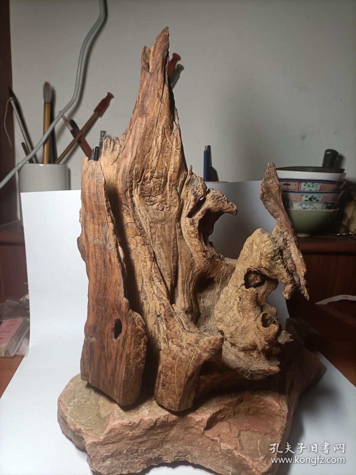 保真曲阜300年以上树龄 楷木木桩山子