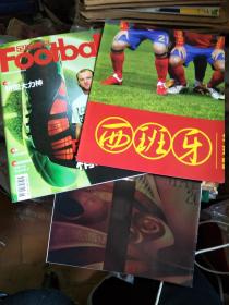 足球周刊 2010 NO.6/7总第408/409期