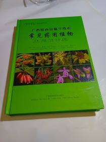 广西靖西县端午药市常见药用植物
