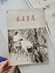 花鸟画选一【8张合售】