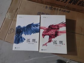 孤鹰 上下