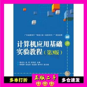 二手書計算機應用基礎實驗教程董成杰，徐琴，何偉宏編電子工業出
