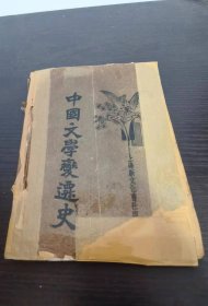 中国文学变迁史
