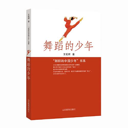 “别样的中国少年”书系：舞蹈的少年