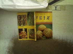 中国香菇