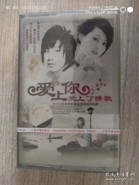 爱上你爱上了情歌 等共14首 新伤感经典情歌 展现完美视听极限 怀旧老磁带