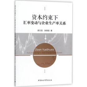 資本約束下匯率變動與企業生產率關系
