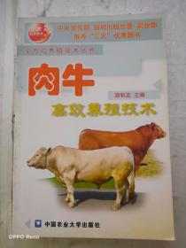 肉牛高效养殖技术