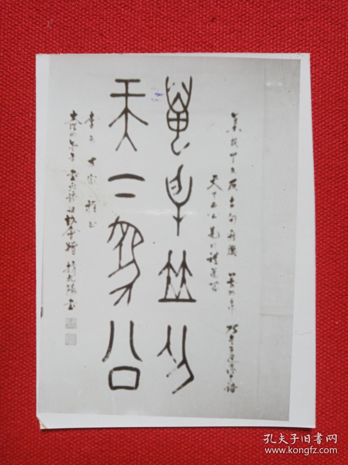 老像片 ,老资料一批27张(有:罗四维,杜乙简,赵乾阳,孙祖德,马家庆,王