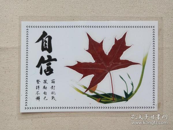 片片枫叶情《自信》1980-1990年代(书签,书卡,树叶画,礼品礼物,纪念品