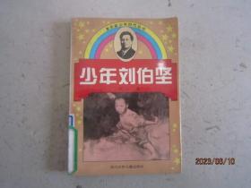 少年刘伯坚（革命家少年时代丛书）