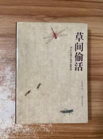 草间偷活：齐白石笔下的草虫世界