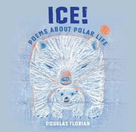 现货 英文原版 Ice! Poems about Polar Life 冰！关于北极生活的诗歌科普绘本 7-10岁 *获评Kirkus书评为“年度*佳书籍”*