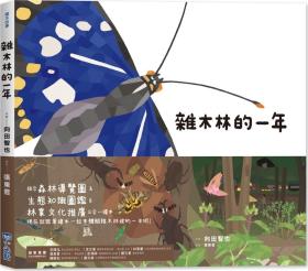 预售【外图台版】里山的一年绘本2：杂木林的一年 / 向田智也 小光点