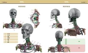 预售【外图台版】艺用3D头颈解剖书――掌握头颈的结构、造型与建模 / 乌迪斯?萨林斯 大家