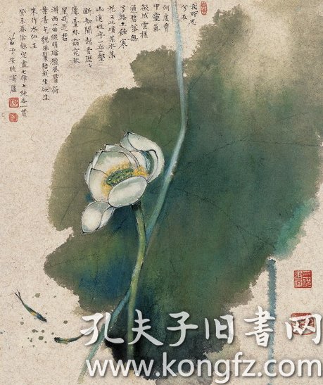 5249黄苗子彩荷纸本印刷品画页画面尺寸123x147厘米郁风黄苗子藏画