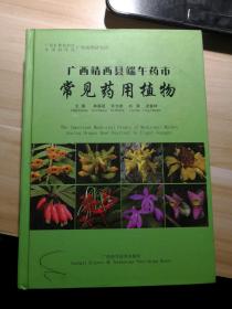 广西靖西县端午药市  常见药用植物