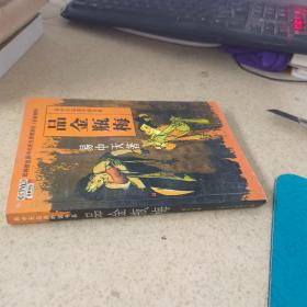 品金瓶梅