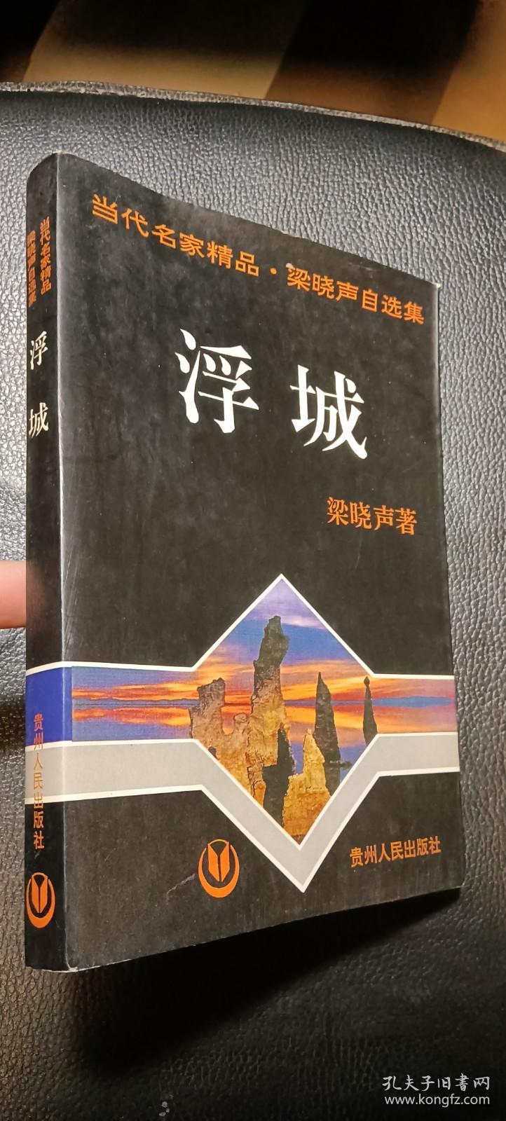 浮城梁晓声自选集2印品好