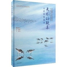 无形的联系 大滨鹬的故事 上海科学技术出版社