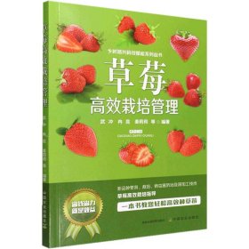 草莓高效栽培管理 中国农业出版社