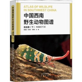 中国西南野生动物图谱 昆虫卷(下) 北京出版社