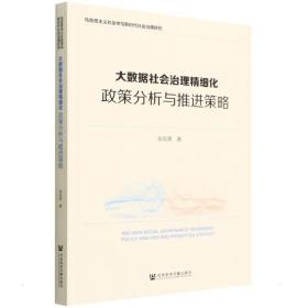 大数据社会治理精细化：政策分析与推进策略 政治理论 张凤荣