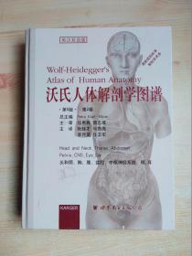沃氏人体解剖学图谱（第5版·第2卷）
