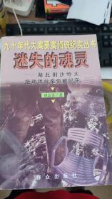 迷失的魂灵--湖北荆沙特大抢劫团伙案侦破纪实