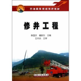 修井工程 韩国庆 石油工业出版社 9787502196516