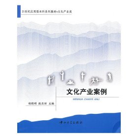 文化产业案例 胡晓明 殷亚丽 中山大学出版社 9787306038043