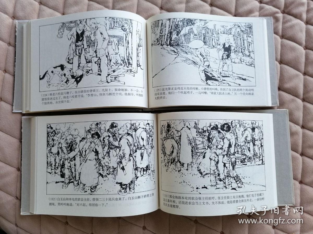 暴风骤雨 (上下)_施大畏_孔夫子旧书网