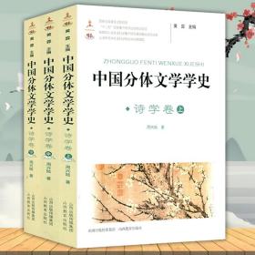 【全新正版】中国分体文学学史-诗学卷