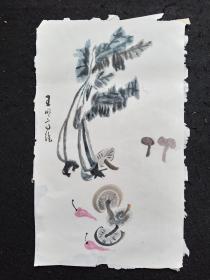 Y132-28王明高纯手绘、有款无印章、花鸟画托片、白菜、 画心尺寸：50*30厘米