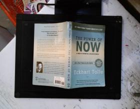 The Power of Now：A Guide to Spiritual Enlightenment 【看图】
