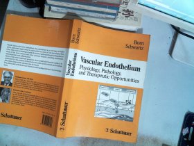 Vascular Endothelium