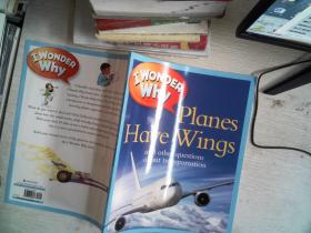 I wonder why planes have wings