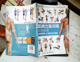 肌肉力量训练彩色图谱