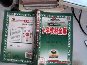 小学教材全解：语文 六年级下