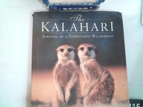 英文原版书：画册类：The KALAHARI-SURVIVAL IN A THIRSTLAND WILDERNESS/卡拉哈里：在干渴的荒野中生