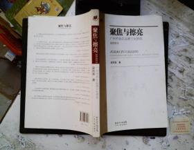 聚焦与擦亮 : 广州市各区品牌文化研究. 2010卷