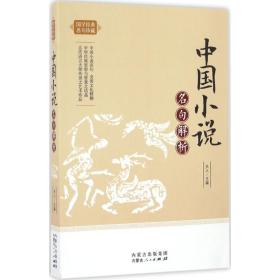 中国小说名句解析天人内蒙古人民出版社
