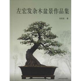 左宏发杂木盆景作品集左宏发上海科学技术出版社