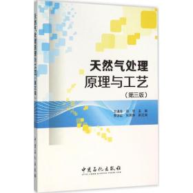 天然气处理原理与工艺（D3版）王遇冬中国石化出版社