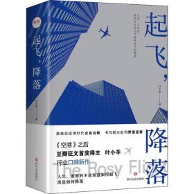 起飞,降落(全2册)叶小辛四川文艺出版社